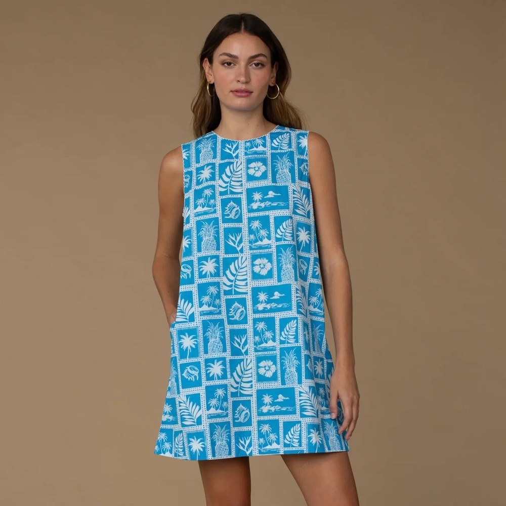 Elizabeth James Postcard Dress
